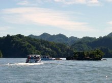 Boat Tour in Samana Bay to Los Haitises National Park, Caverns and Mangroves.