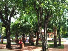 Parc central a la ville de Samana, Republique Dominicaine. Parc de la ville de Santa Barbara de Samana, situé en face de l'Hôtel de Ville de Samana, RD.