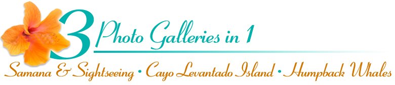 Pictures of Samana - Images of Samana - Photo Gallery of Samana, Pictures of Cayo Levantado Island in Samana - Pictures of Humpback Whales in Samana Bay... 