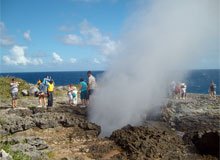Samana Dominican Republic Best Tours.