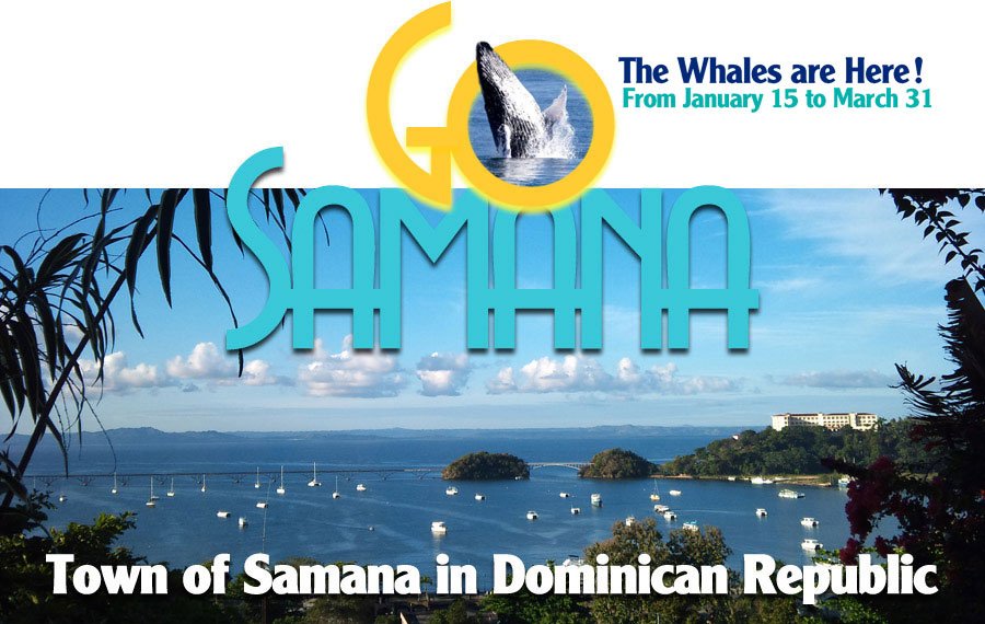 Samana Dominican Republic Travel Guide.
