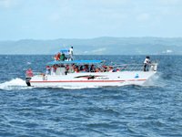 Top Boat Tours in Samana Bay : Los Haitises National Park Tours + Cayo Levantado Island Tours from Samana Port, Dominican Republic.